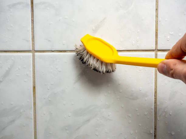 Best Mold Removal Process  in Orlovista, FL