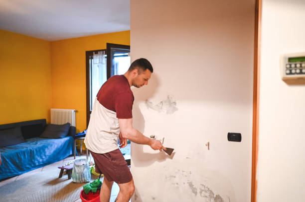 Best Black Mold Removal  in Orlovista, FL